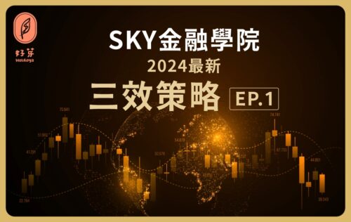 好芽-SKY金融學院2024最新三效策略-Sky講師